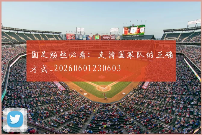 国足粉丝必看：支持国家队的正确方式_20260601230603