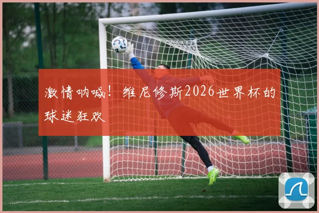 激情呐喊！维尼修斯2026世界杯的球迷狂欢