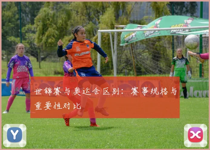 世锦赛与奥运会区别:赛事规格与重要性对比