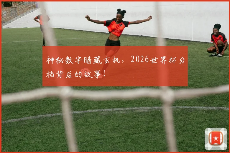 神秘数字暗藏玄机，2026世界杯分档背后的故事！